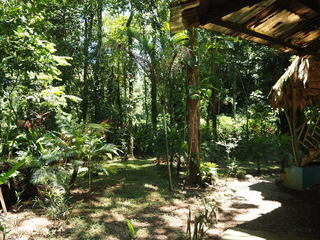 Bed and Breakfast Se Ua Manzanillo  Esterno foto